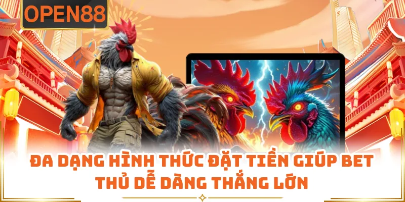 Đa Dạng Hình Thức Đặt Tiền Giúp Bet Thủ Dễ Dàng Thắng Lớn