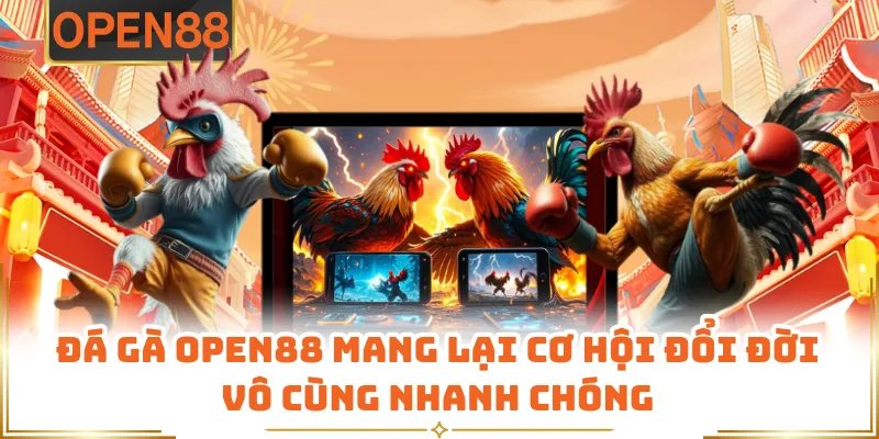 Đá Gà OPEN88 Mang Lại Cơ Hội Đổi Đời Vô Cùng Nhanh Chóng