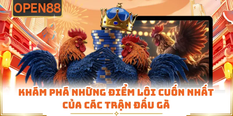 Khám Phá Những Điểm Lôi Cuốn Nhất Của Các Trận Đấu Gà